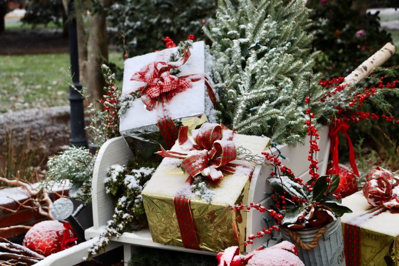 The decorations on the fountain in Zwaanendael Park receive a light dusting. BILL SHULL PHOTO